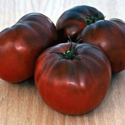 BLACK BRANDYWINE (I)H Tomato What We Grow