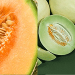 Cantaloupe