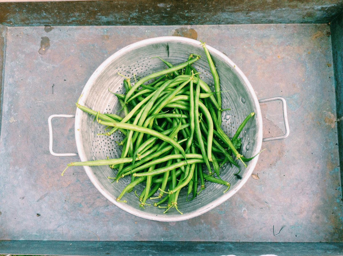 green beans