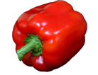 pepper