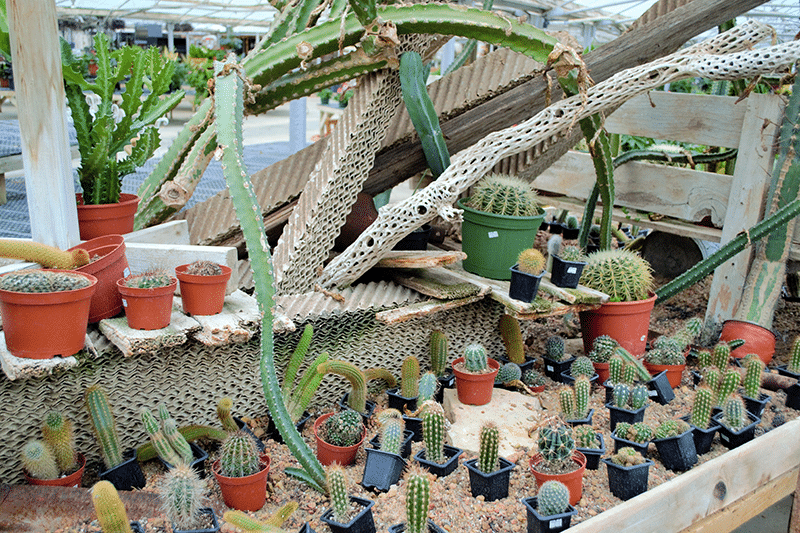 Our Greenhouse Stutzmans Greenhouse & Garden Centers