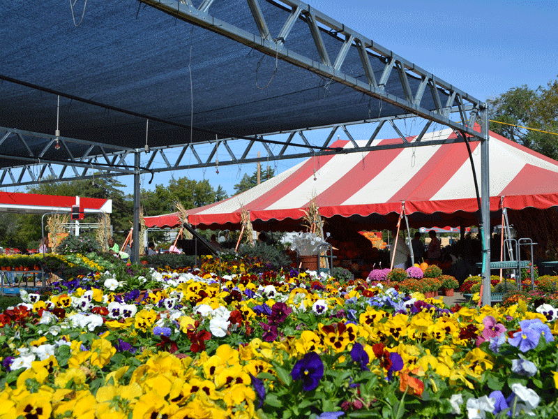 salina | Stutzmans Greenhouse & Garden Centers