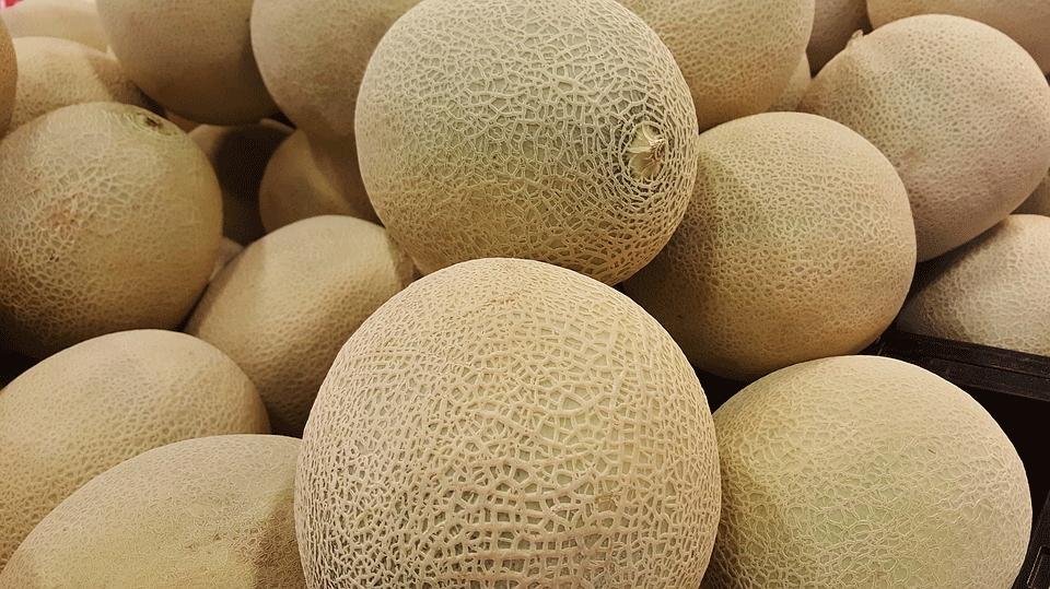 Cantaloupe Agua Fresca