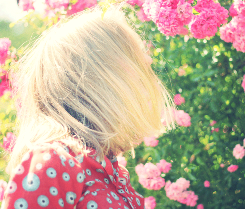 Gardening Health and Safety Tips