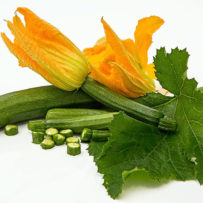 Squash Tips