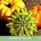 Keep Your Gourds Gorgeous