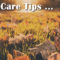 Fall Lawn Care Tips