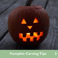 Pumpkin Carving Tips