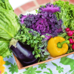Why are Veggies Good for You?