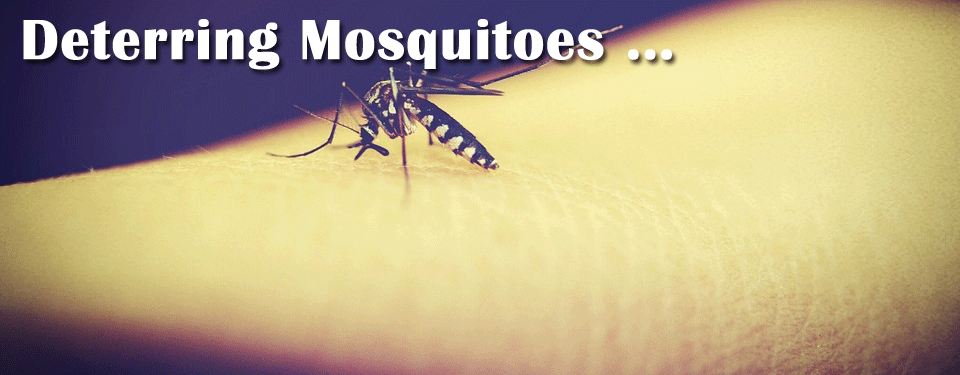 Mosquitoes