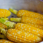 The Only Corn on the Cob I Will Ever Make Again