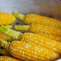 The Only Corn on the Cob I Will Ever Make Again