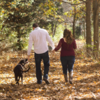 Tips for Gardening with Dogs