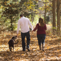 Tips for Gardening with Dogs