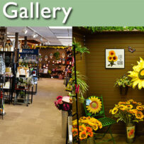 In Our Gift Gallery