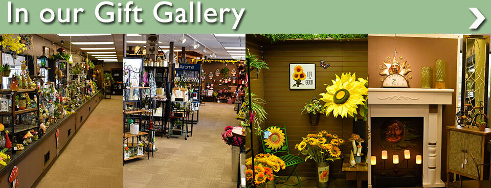 In Our Gift Gallery