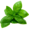 Herb Gardening