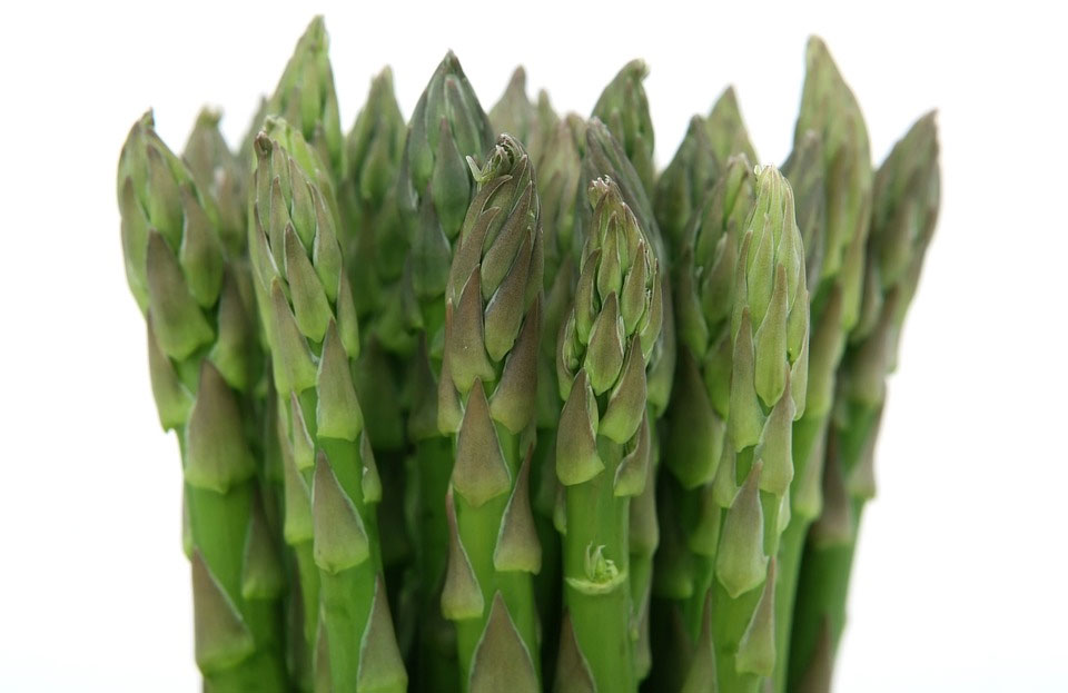 Benefits of Asparagus