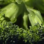 11 Health Benefits of Broccoli