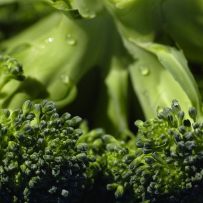 11 Health Benefits of Broccoli