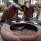 The Benefits of Water Fountains