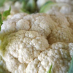 Mashed Cauliflower with Parmesan