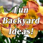 More Backyard Ideas