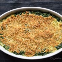 Spinach Casserole with Cheesy Panko Bread Crumbs