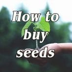 How to Buy Seeds