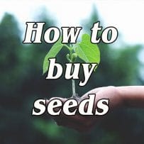 How to Buy Seeds