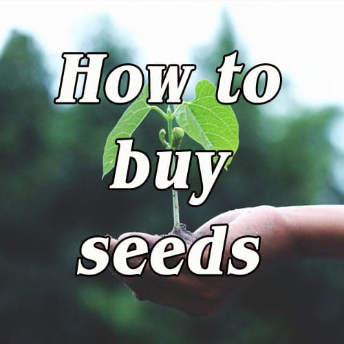 how-to-buy-seeds-stutzmans-greenhouse-garden-centers