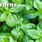 Indoor Gardens