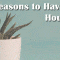 The Many Benefits of Houseplants