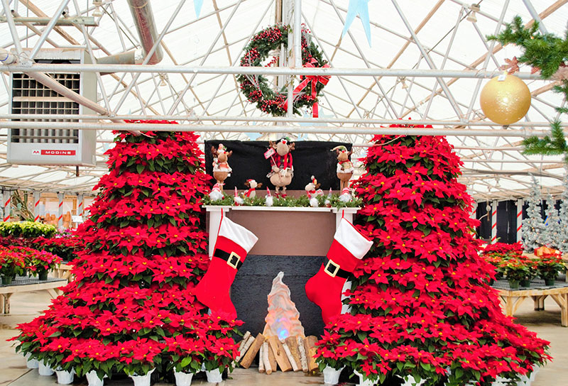 Our Greenhouse Stutzmans Greenhouse & Garden Centers