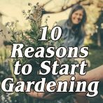 10 Great Reasons to Start Gardening Today!