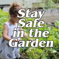 Stay Safe in the Garden