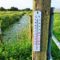 Soil Temperature for Higher Germination