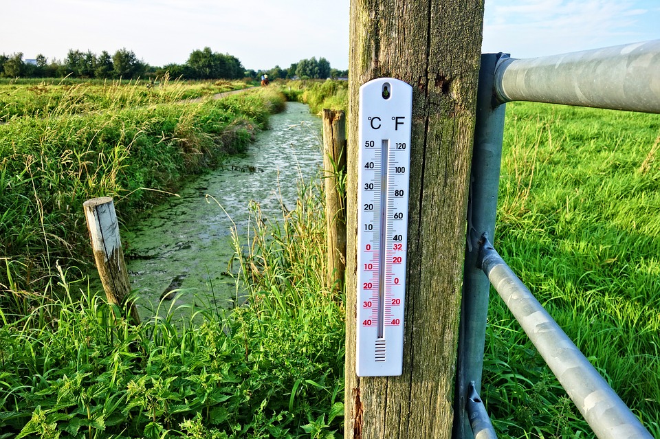 Soil Temperature for Higher Germination