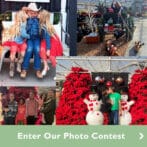 contest
