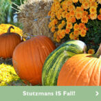 Stutzmans is Fall!