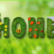 July Gardening Check List