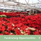 Fundraising Opportunities