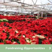 Fundraising Opportunities