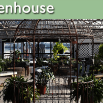 In Our Greenhouse