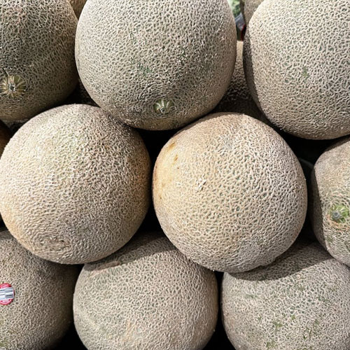 cantelope