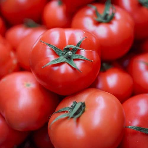 tomatos