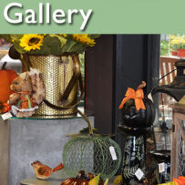In Our Gift Gallery
