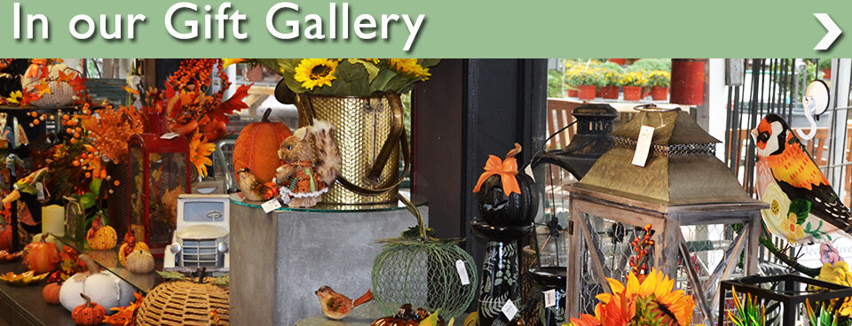 In Our Gift Gallery